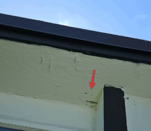 miami mold inspection