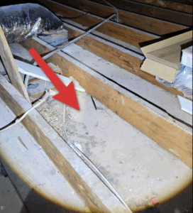 home inspection miami