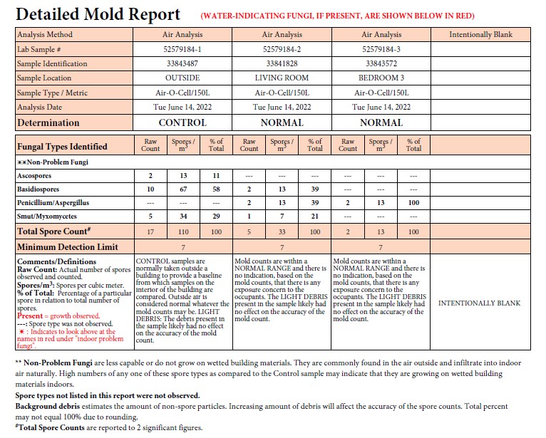 Mold inspections miami fl
